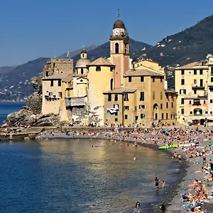 Hdgiotto Centro Storico Appartamento